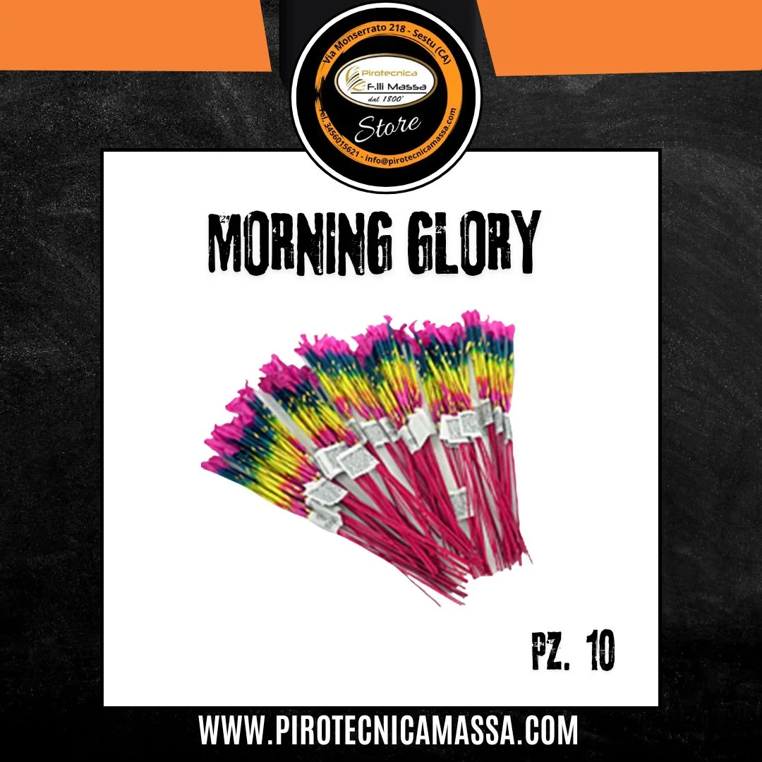 MORNING GLORY
